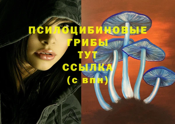 первитин Аркадак